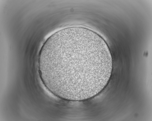 X0000091101526200709041313