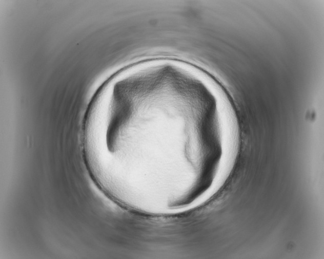 X0000091101527200709041313