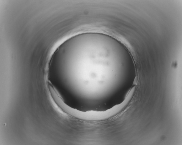 X0000091101528200709041313