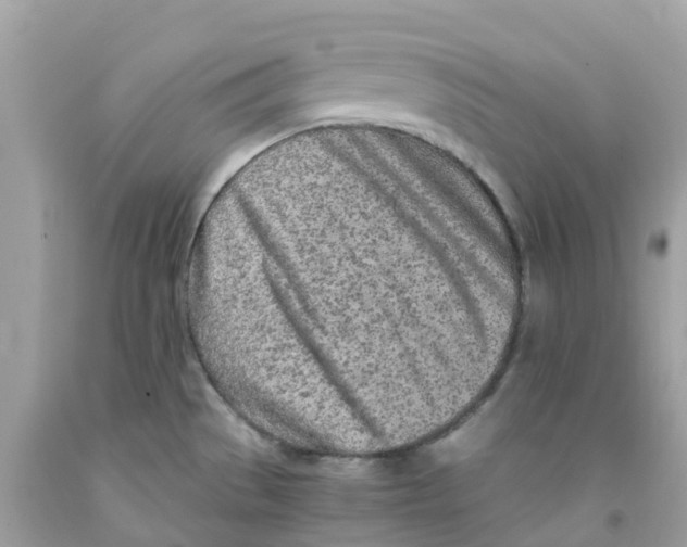 X0000091101529200709041313