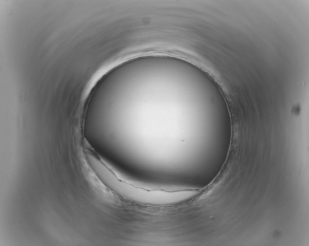 X0000091101530200709041313