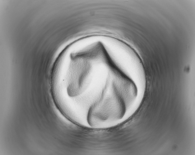 X0000091101531200709041313