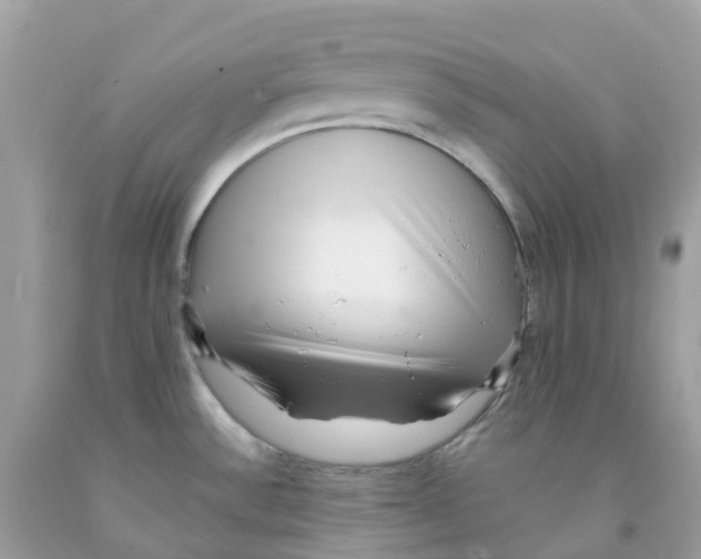 X0000091101532200709041313