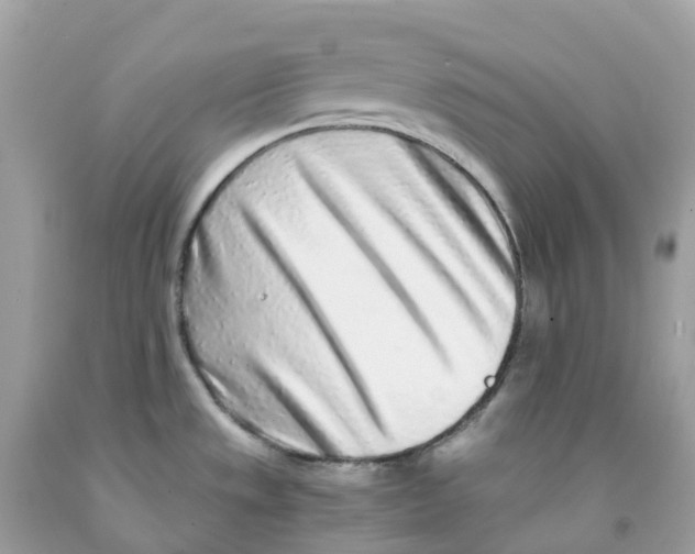 X0000091101533200709041313