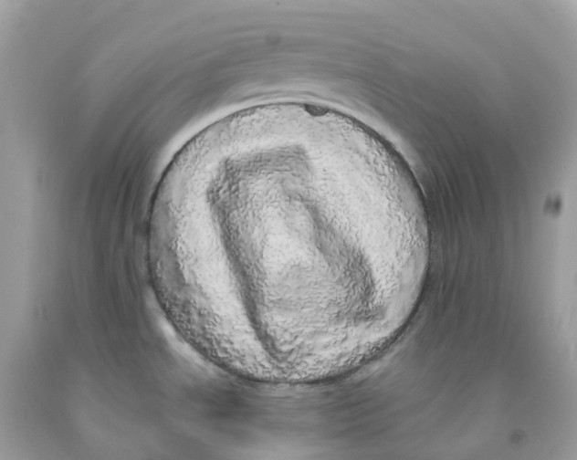 X0000091101534200709041313