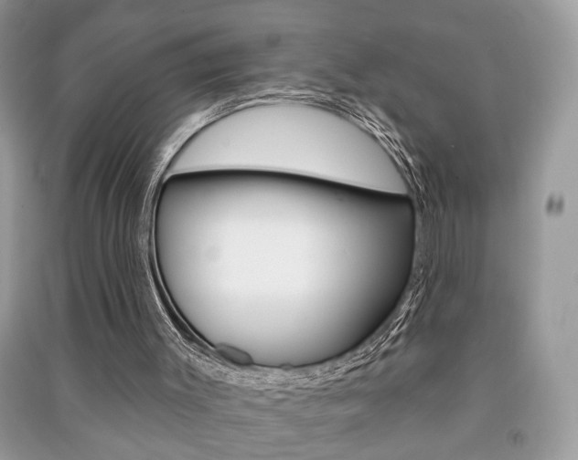 X0000091170003200708091035