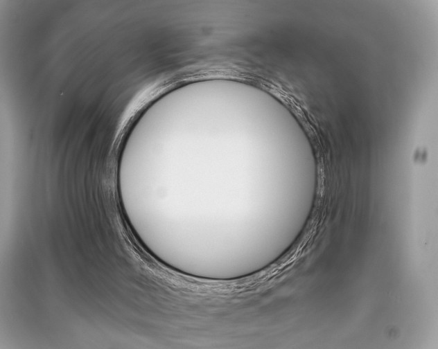 X0000091170004200708091035