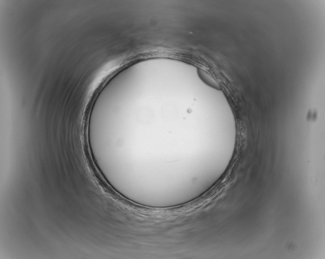 X0000091170006200708091035