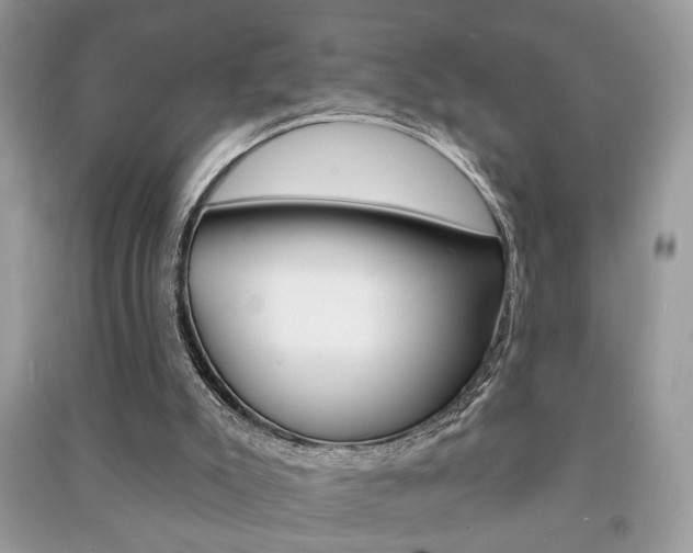 X0000091170007200708091035