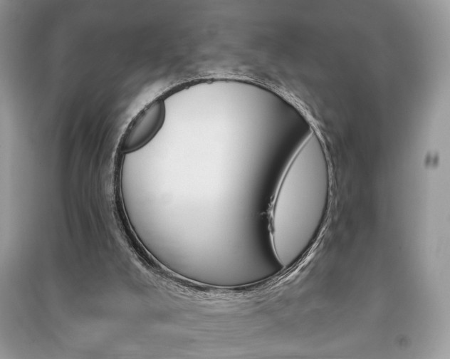 X0000091170008200708091035