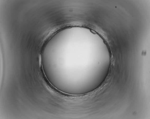 X0000091170013200708091034