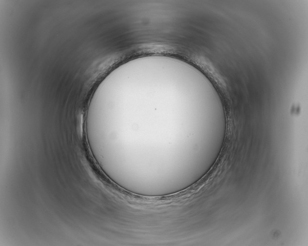 X0000091170014200708091034