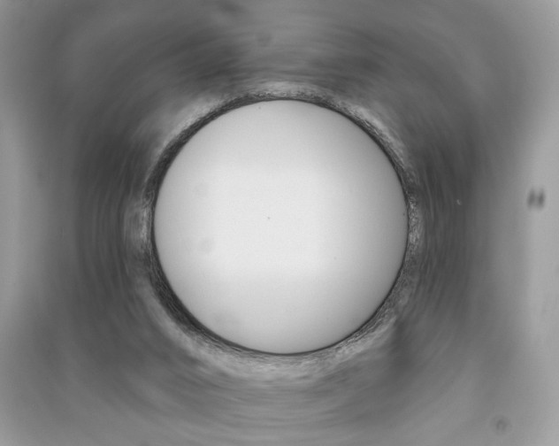 X0000091170016200708091034