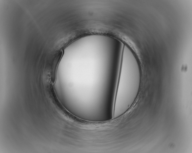 X0000091170017200708091034