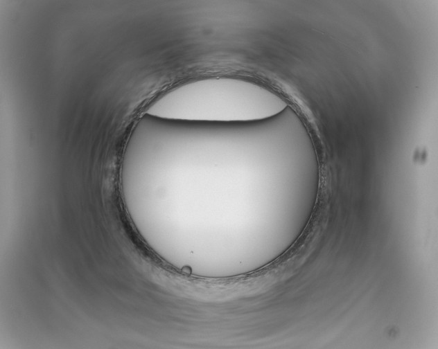 X0000091170018200708091034