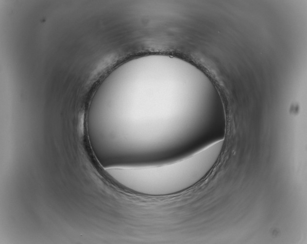 X0000091170019200708091034