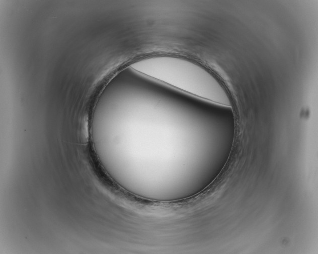 X0000091170020200708091034
