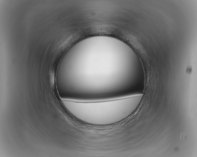 X0000091170021200708091034