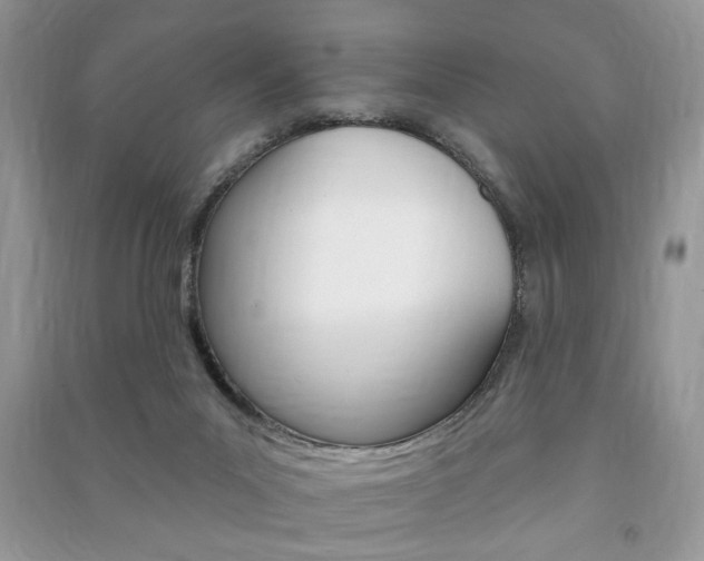 X0000091170023200708091034