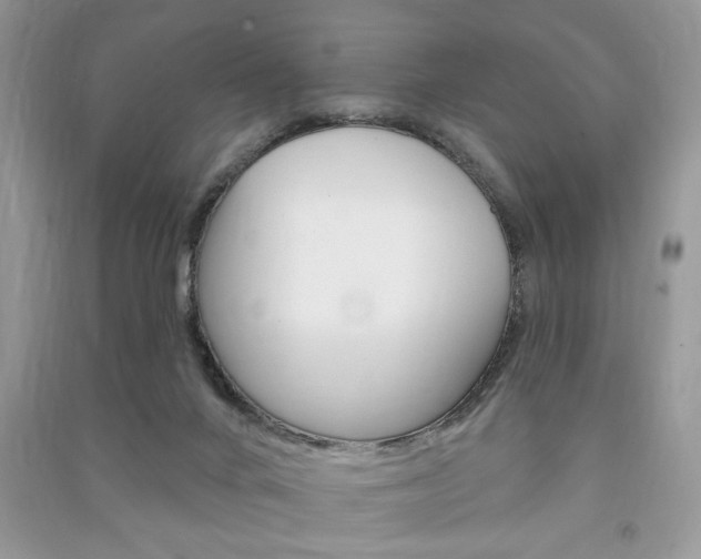 X0000091170024200708091034
