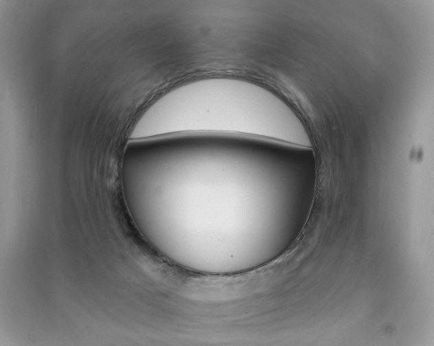 X0000091170025200708091034