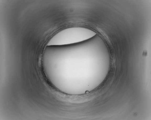 X0000091170026200708091034