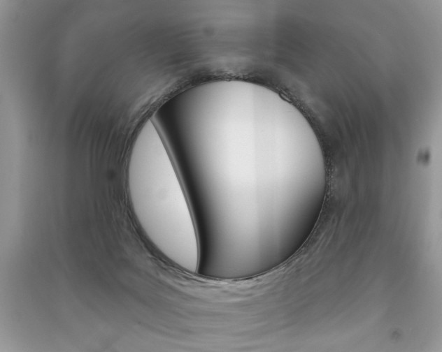 X0000091170027200708091034