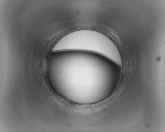 X0000091170029200708091034
