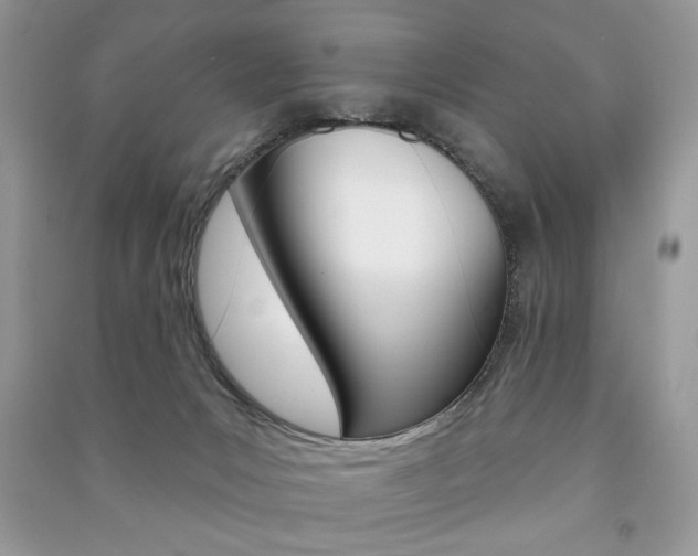 X0000091170031200708091034