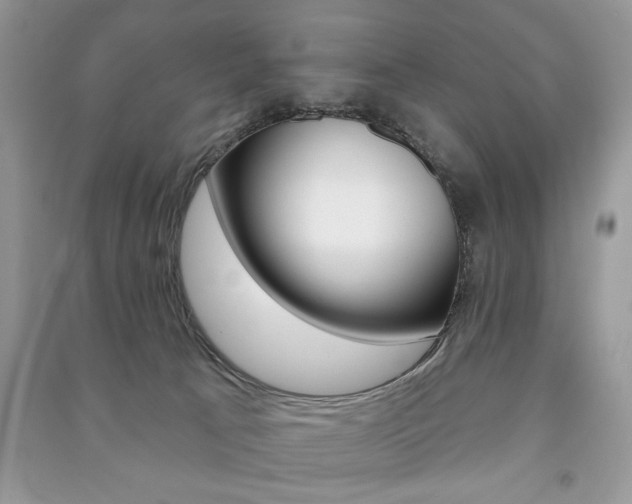 X0000091170033200708091034