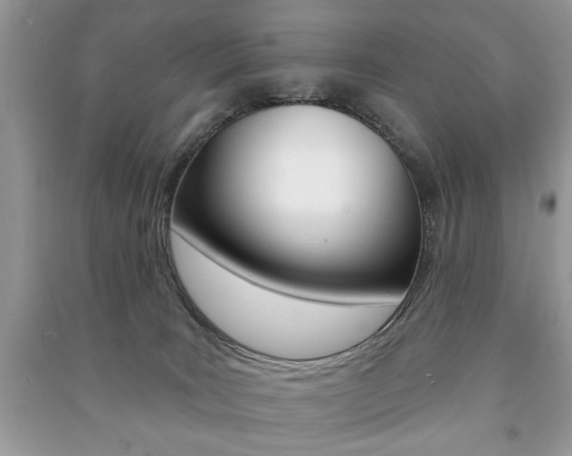 X0000091170035200708091034