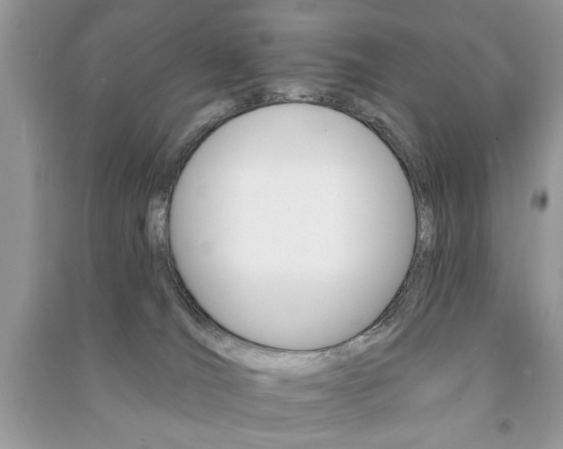 X0000091170036200708091034