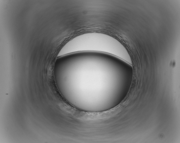 X0000091170037200708091034