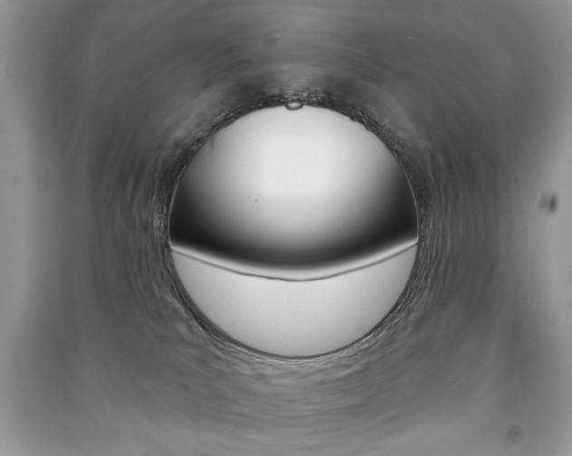 X0000091170039200708091034