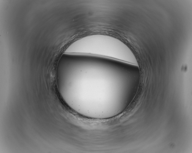 X0000091170040200708091034