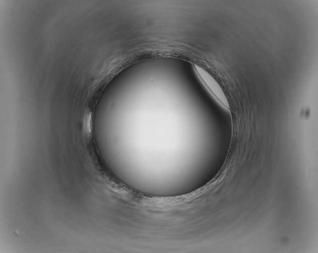 X0000091170041200708091034