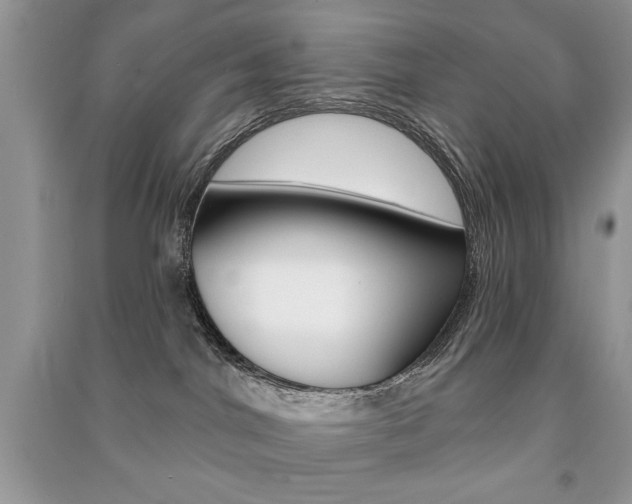 X0000091170044200708091034