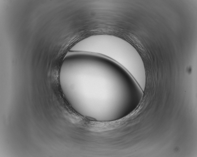 X0000091170045200708091034