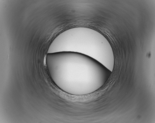 X0000091170046200708091034