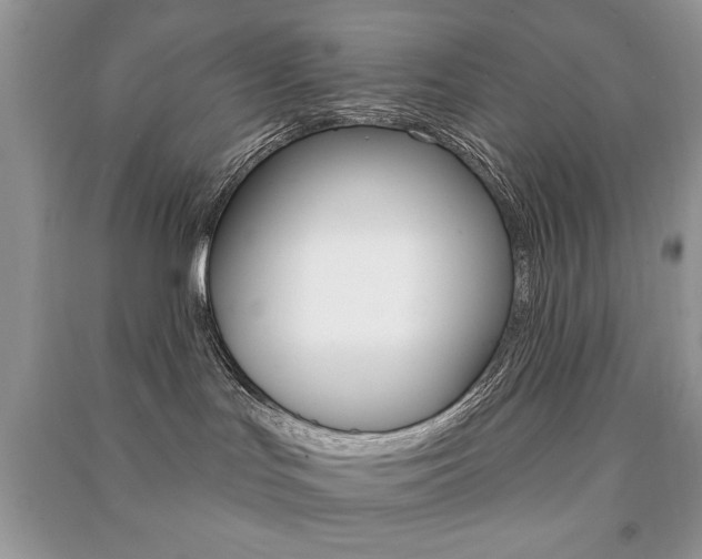 X0000091170047200708091034