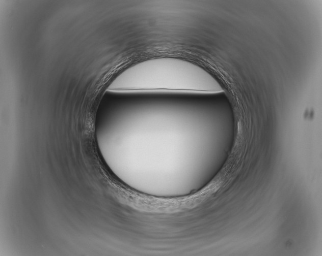 X0000091170048200708091034
