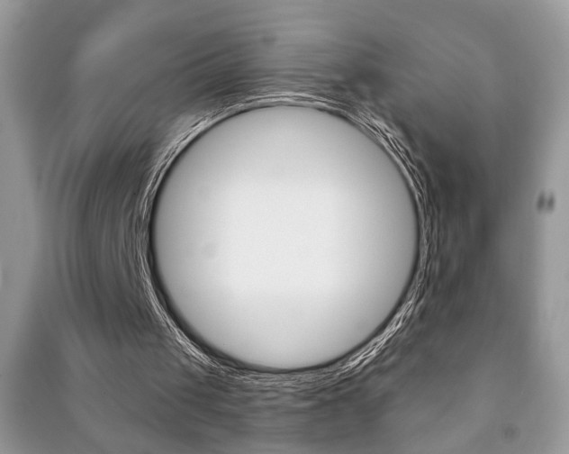 X0000091170049200708091033