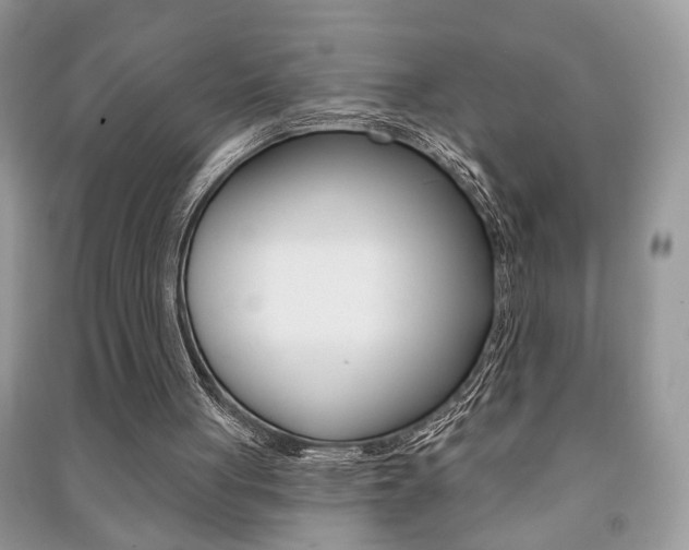 X0000091170051200708091033