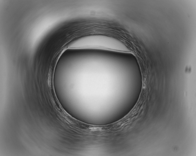X0000091170052200708091033