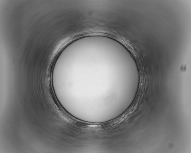 X0000091170053200708091033