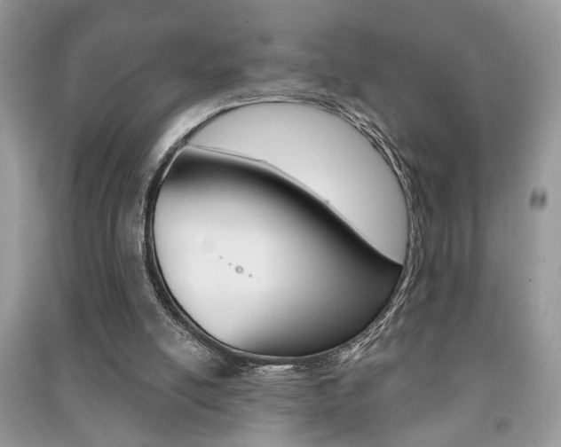 X0000091170054200708091033