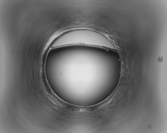 X0000091170056200708091033