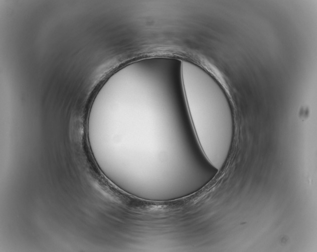 X0000091170059200708091033
