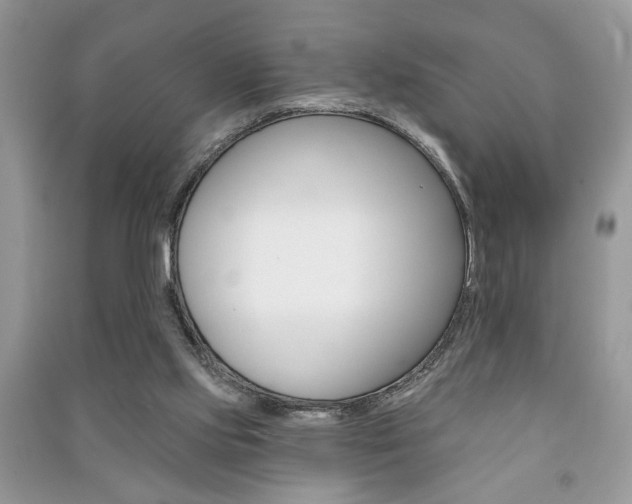 X0000091170061200708091033