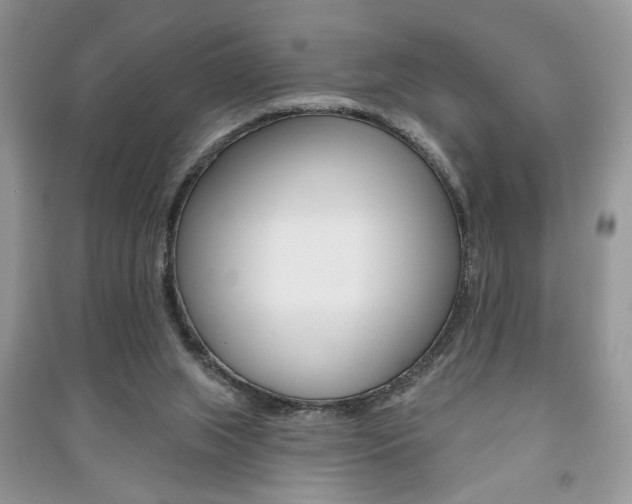 X0000091170063200708091033